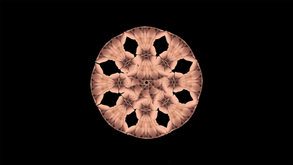 Obra: Desaparición - Video remix digital - posporno